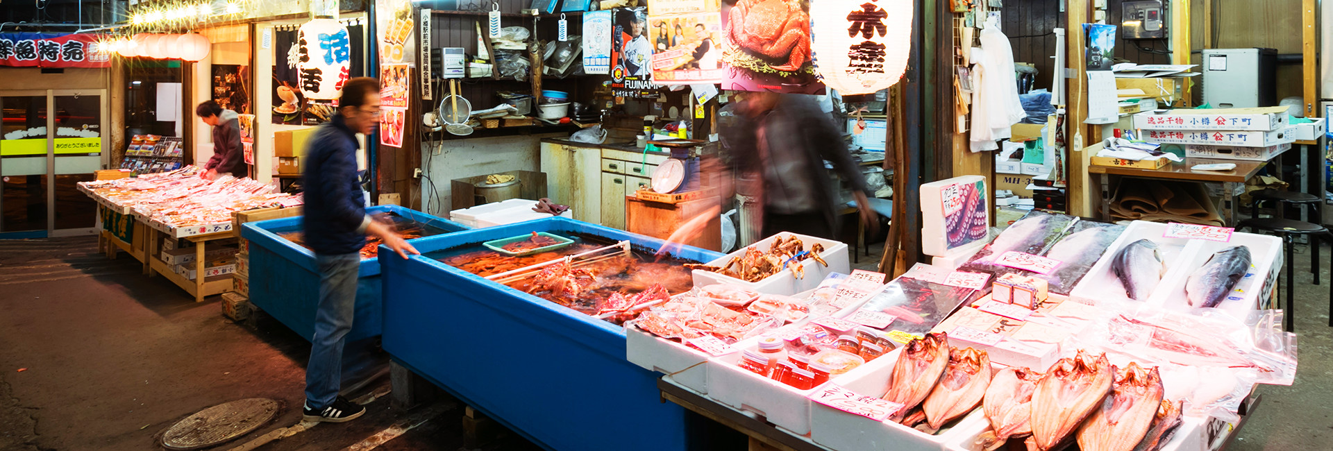 綱岸水産